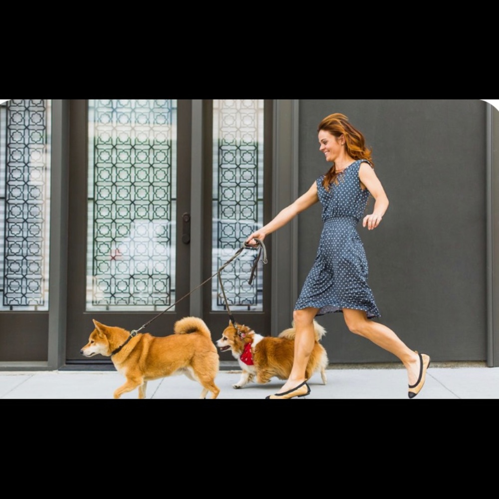 NEW! BETABRAND PETLOVERS DRESS w/pockets! 🐾